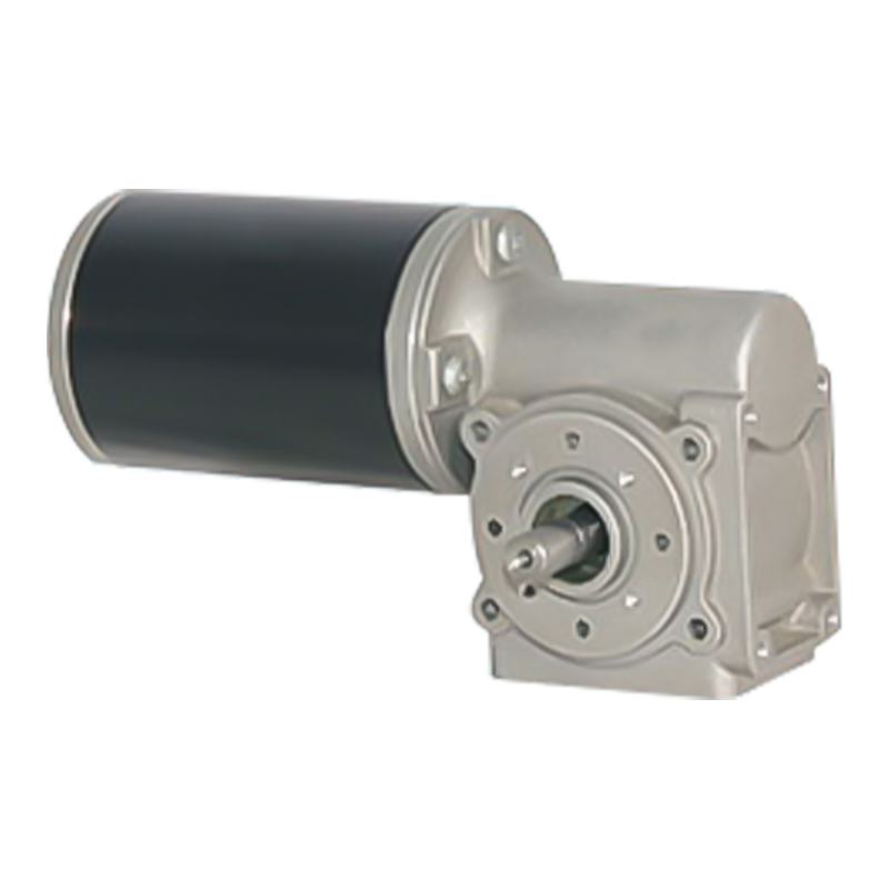 63JW/63ZY105 Permanent Magnet Børstet Orm Gear Motor