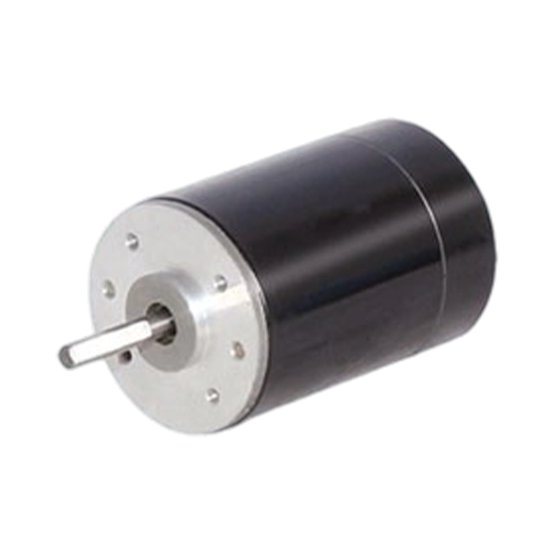 38ZY63 38mm 24V/48V Permanent Magnet børstet DC-motor
