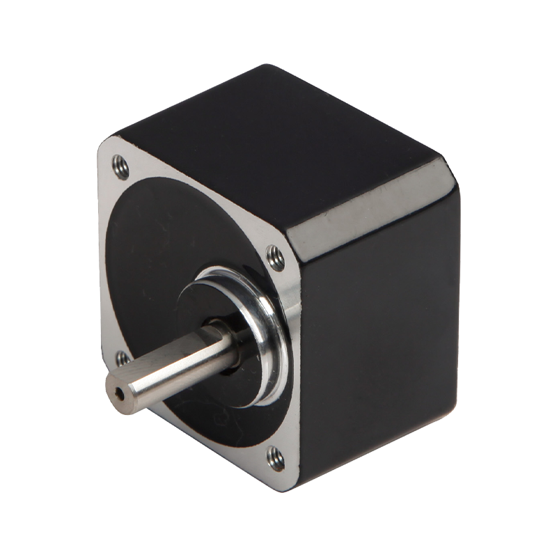 42JBK30K 42mm højpræcision planetarisk lille backlash gearkasse
